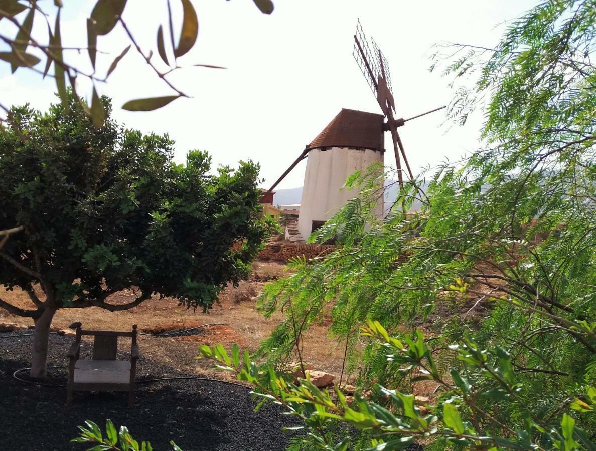 Casita Rural Molino De La Corte Antigua  Buitenkant foto