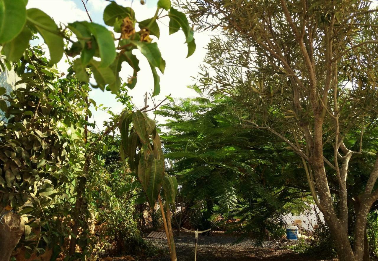 Casita Rural Molino De La Corte Antigua  Buitenkant foto